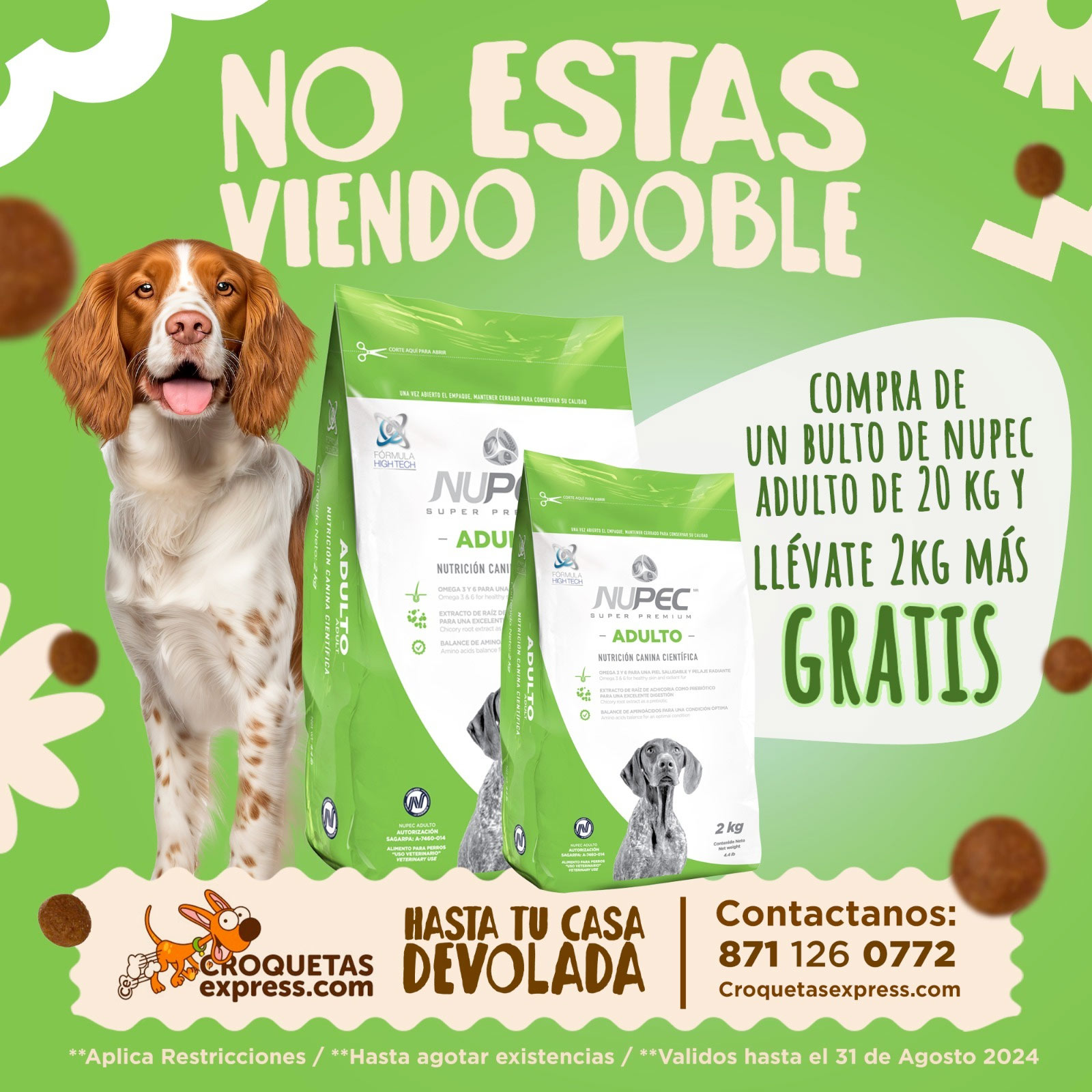 Promociones Croquetas Express